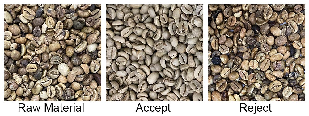 machine de tri de grains de café amd