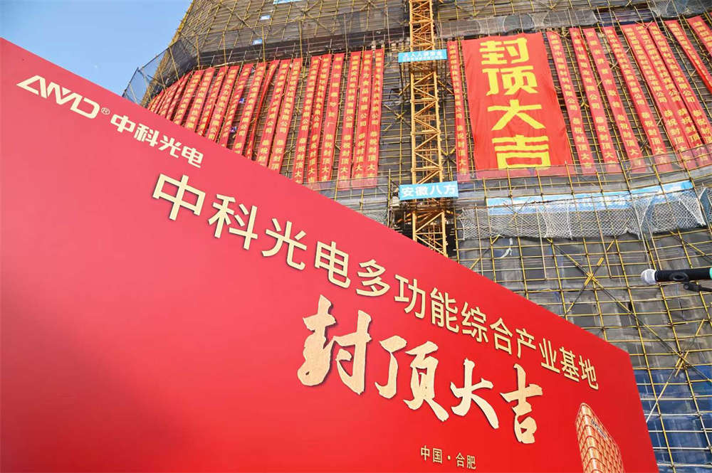 anhui zhongke optic electronic color sorter machinery co ltd