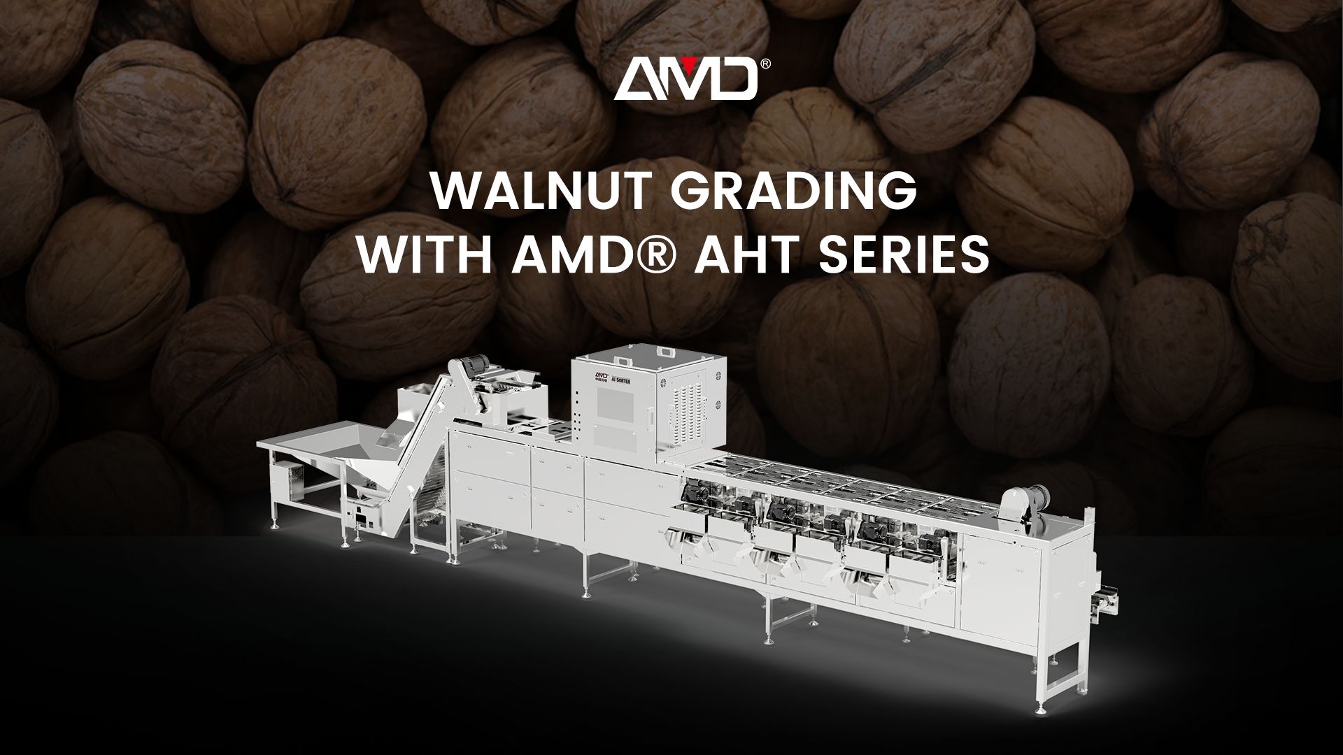 Série AMD® AHT | Machine de calibrage de noix en coque