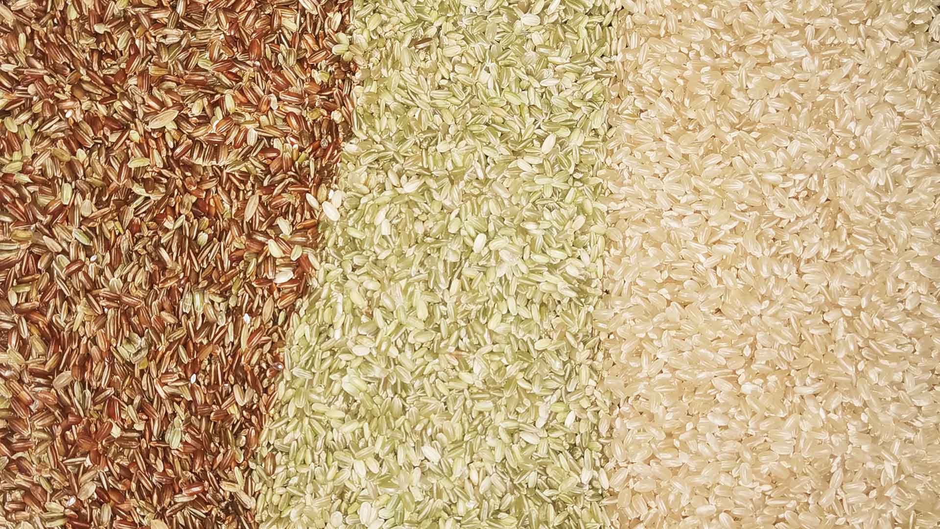 tri du riz