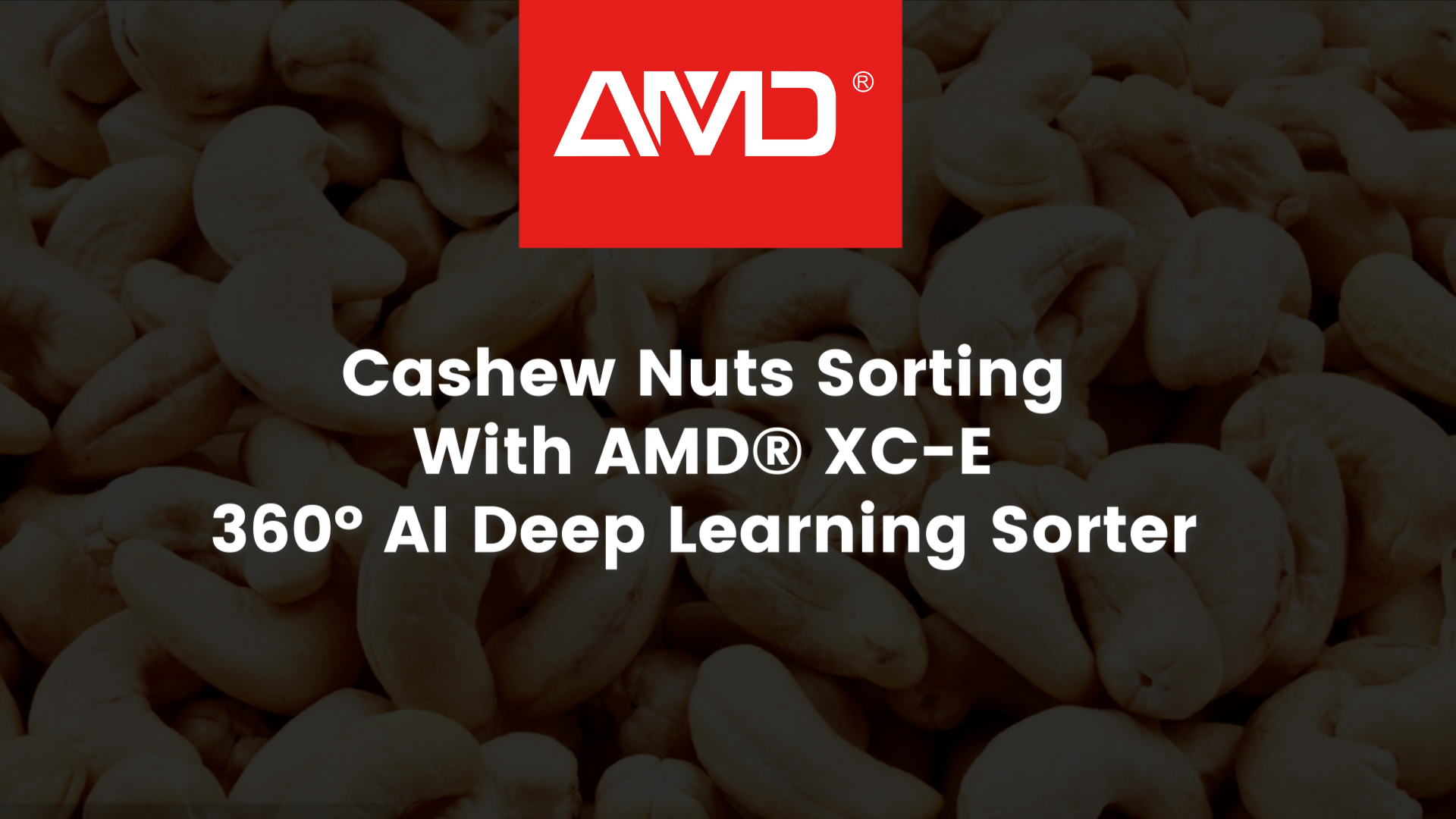 AMD® XC‑E AI Sorter | Cashew Nut Sorting Demo