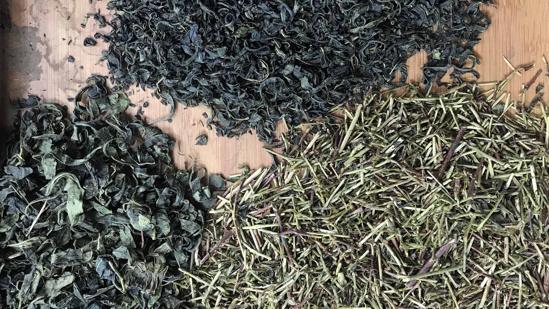 Trieur de couleurs de thé AMD